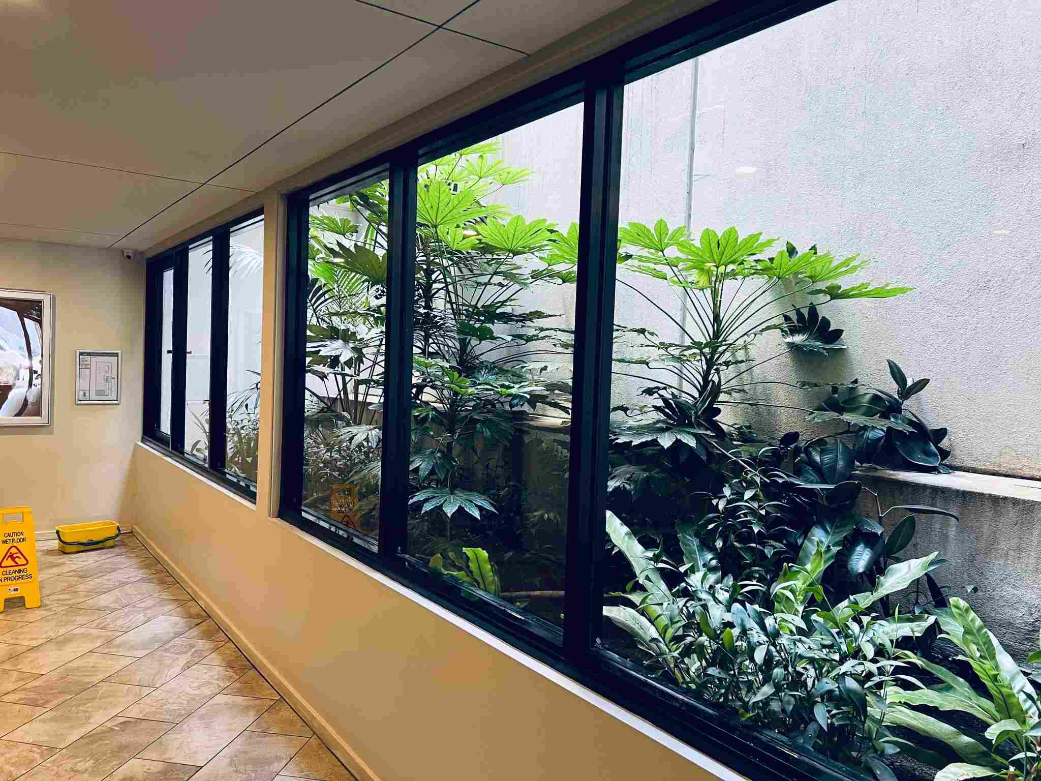 Expert Window Cleaning